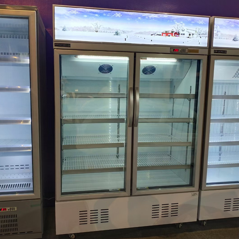 Commercial display hot sale fridge