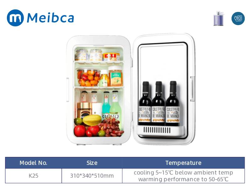 Mini Skincare Refrigerator Fridge For Makeup 12V 220V AC DC