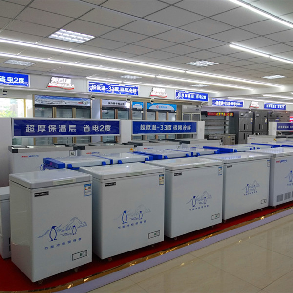 How cold does chest freezer get Meibca