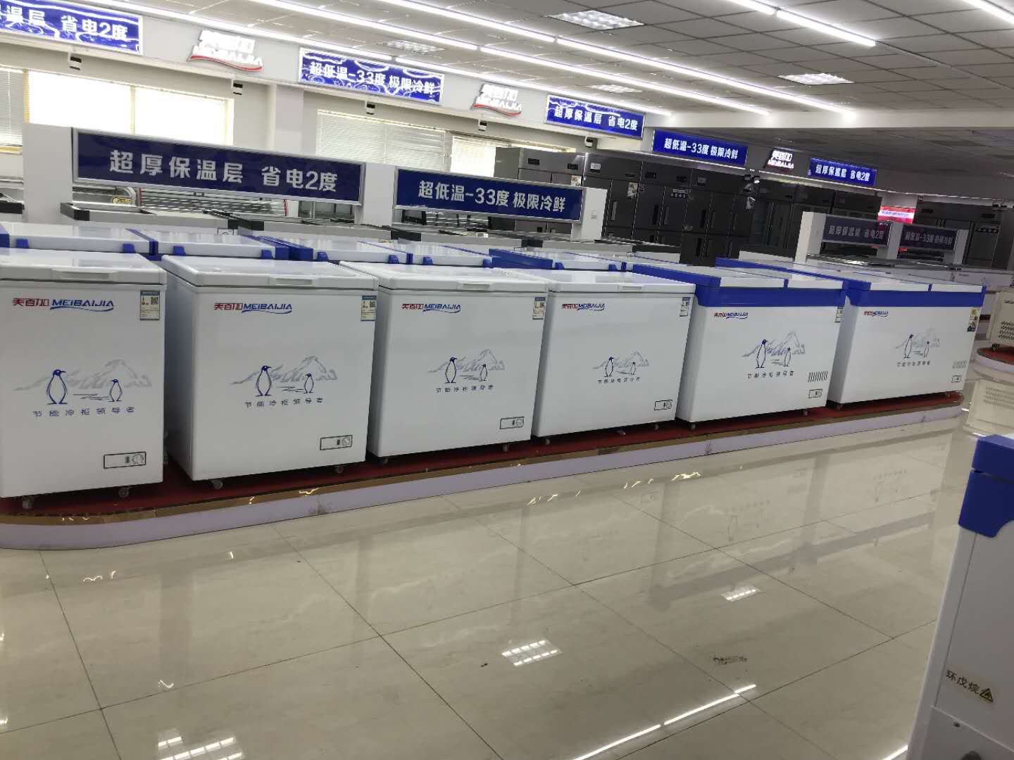 Chest Freezer or Upright Freezer