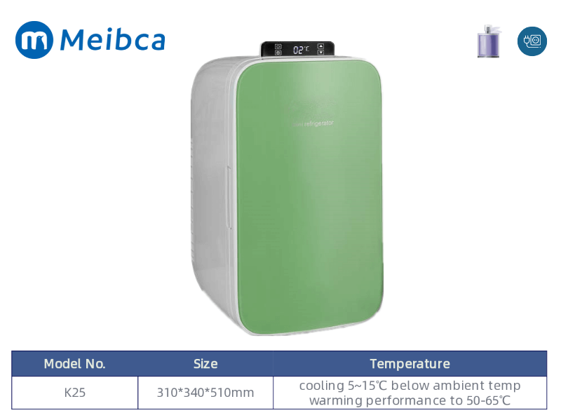 DC 12V Car Mini Portable Makeup Skin Care Desk Fridge Refrigerator