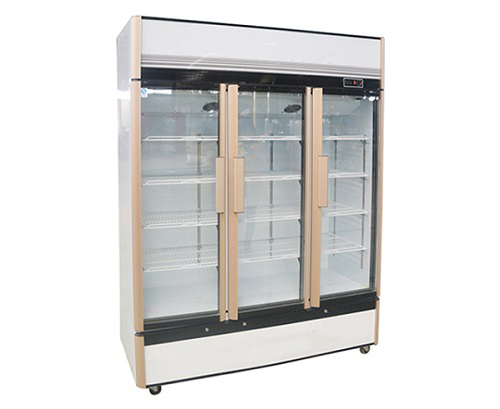 Upright Freezer vs Chest Freezer