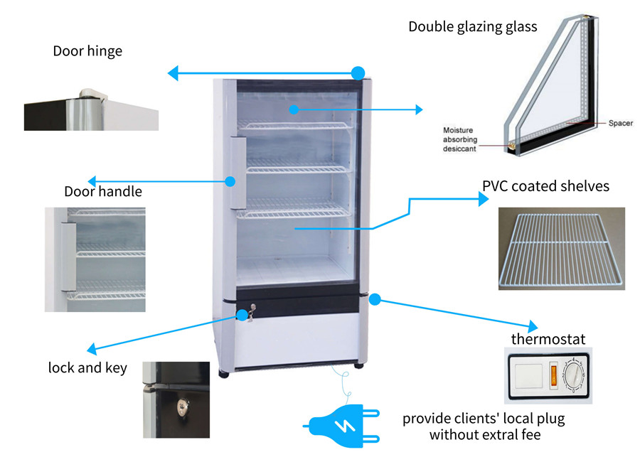 Single Glass Door Upright Drinks Chiller for Sale 